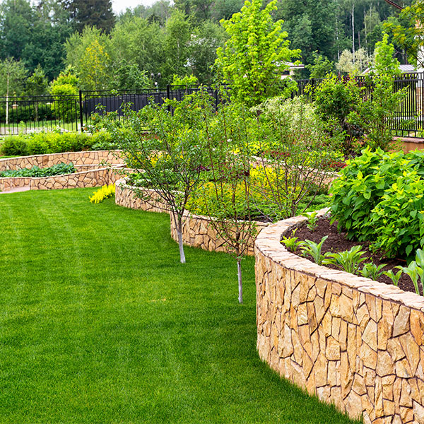 Vineland Landscaping & Lawn Mowing services