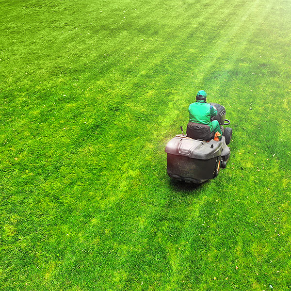 Pennsville Landscaping & Lawn Mowing services
