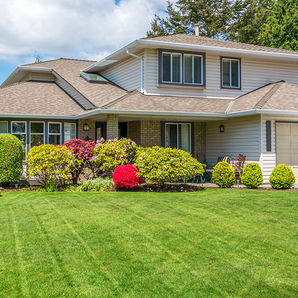 Quinton Landscaping & Lawn Mowing services