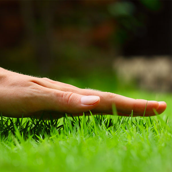 Upper Pittsgrove Landscaping & Lawn Mowing services